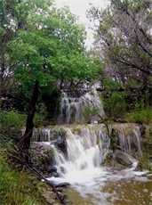 Austin Texas Glamping